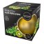 Šťavnatý čaj: Aloe vera & Kiwi Šťavnatý čaj: Aloe vera & Kiwi