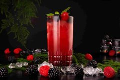 Lesná zmes 60 g: ovocie na limonádu