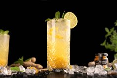 Ovoce na limonádu: Zázvor 1 Ovoce na limonádu: Zázvor 1